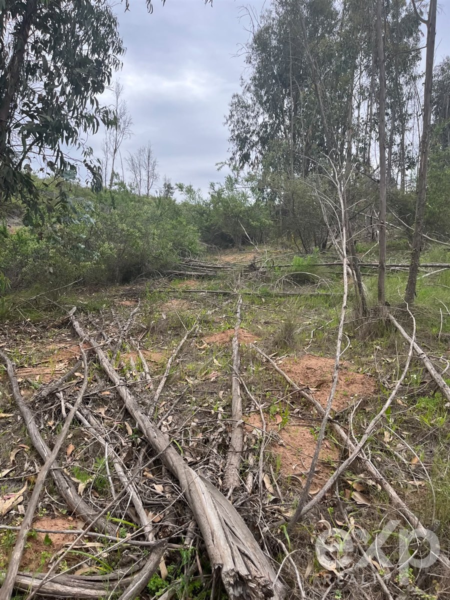 Lot for sale in Limache