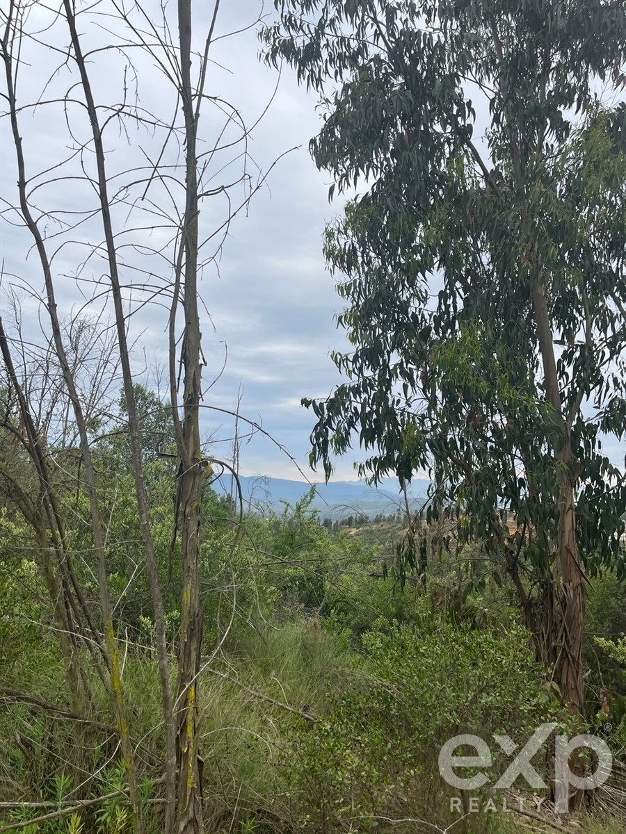 Lot for sale in Limache