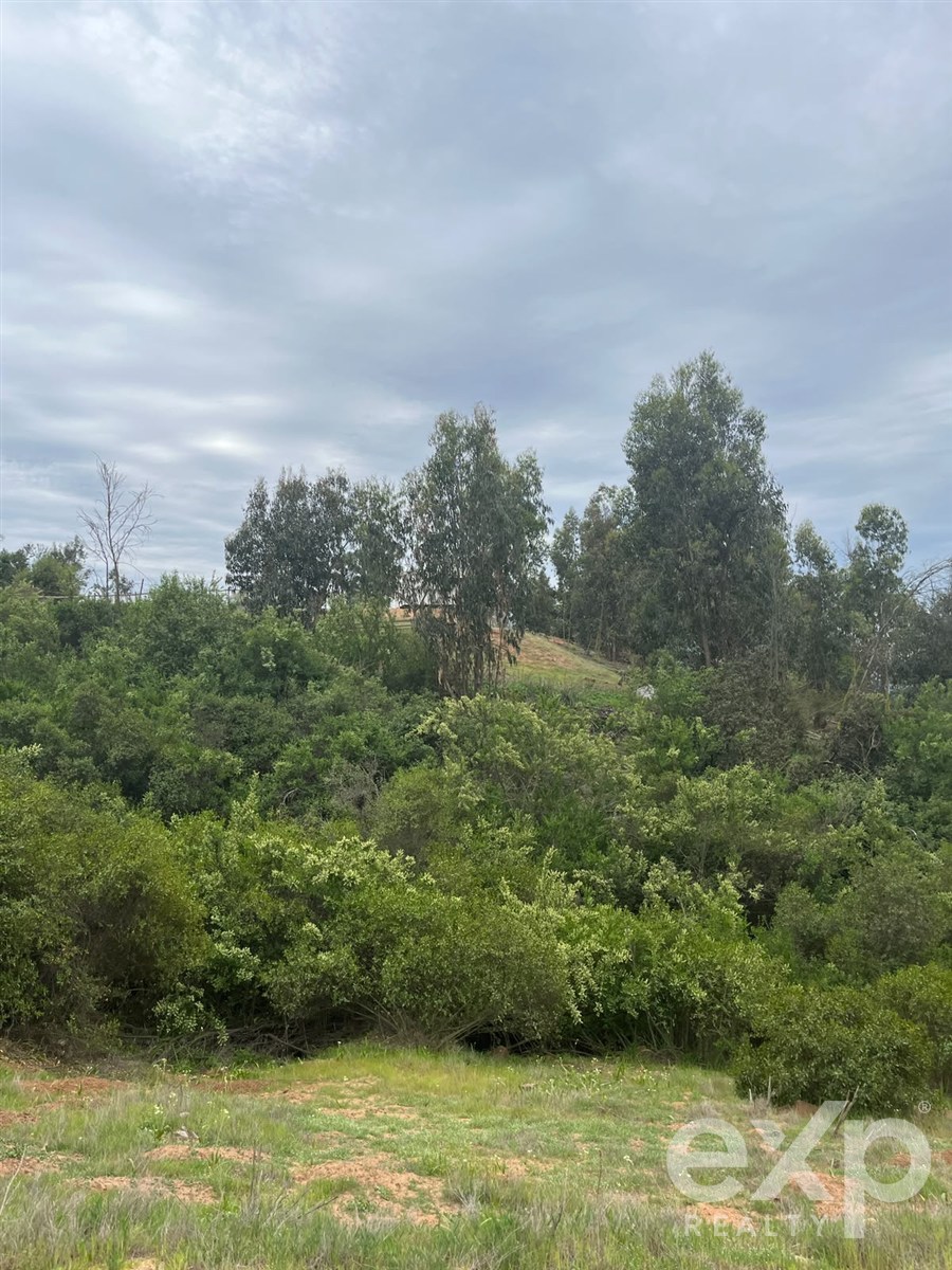 Lot for sale in Limache