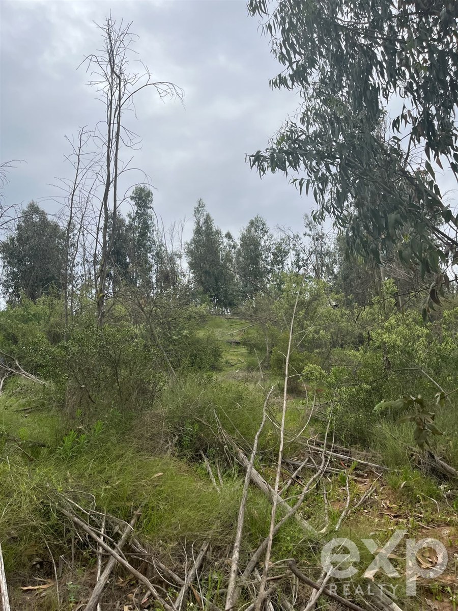 Lot for sale in Limache