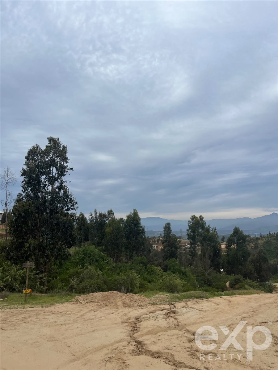 Lot for sale in Limache