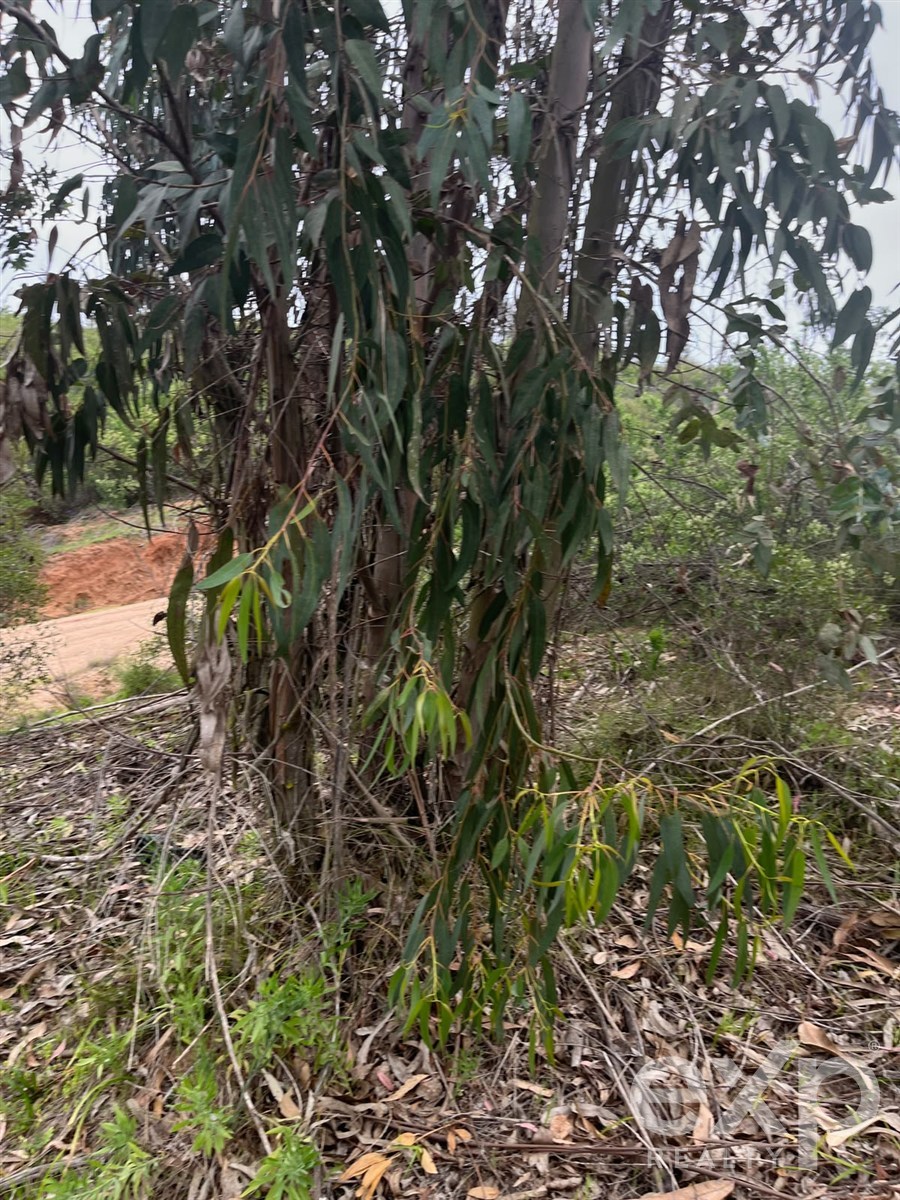 Lot for sale in Limache