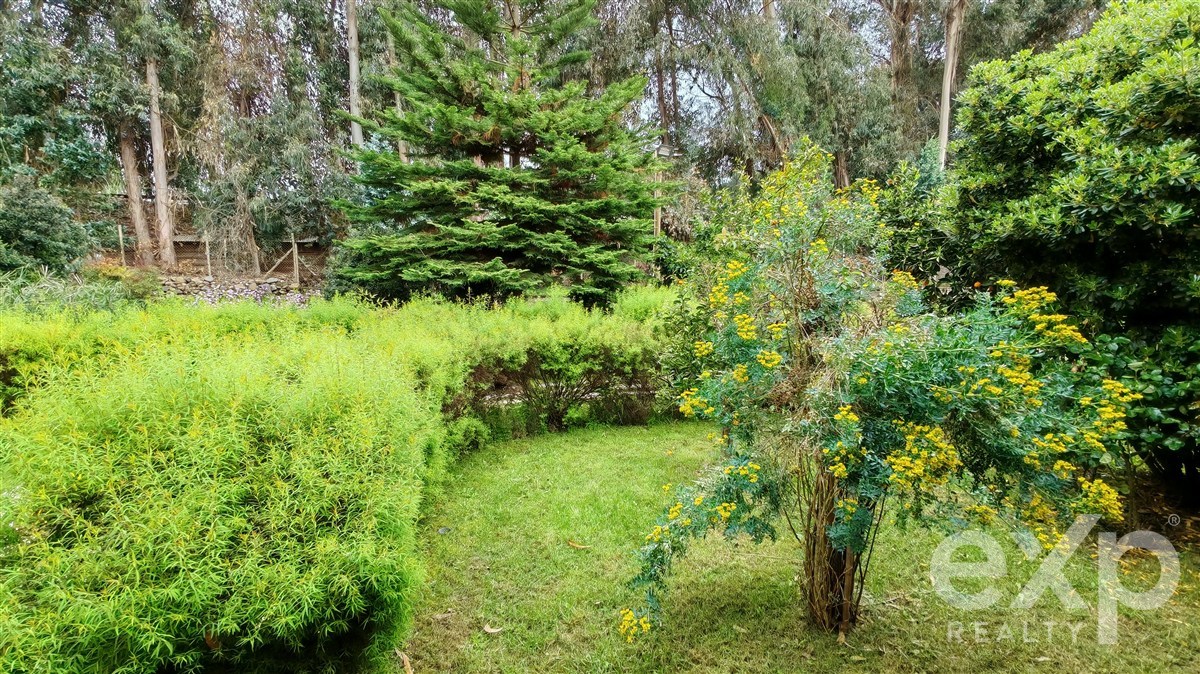 House for sale in Mostazal