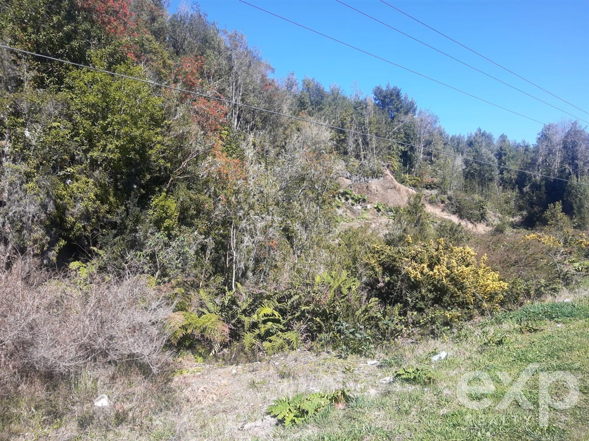 Site for sale in Chonchi