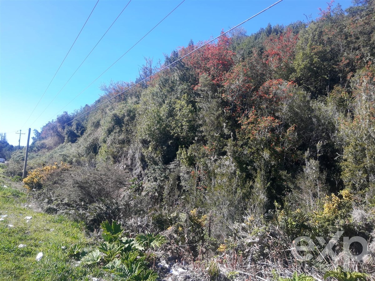 Site for sale in Chonchi