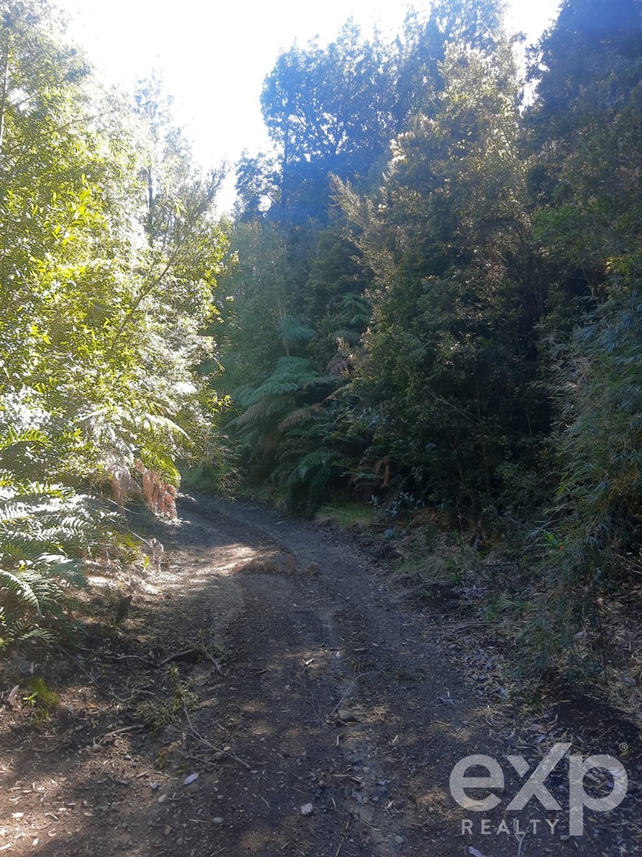 Site for sale in Chonchi