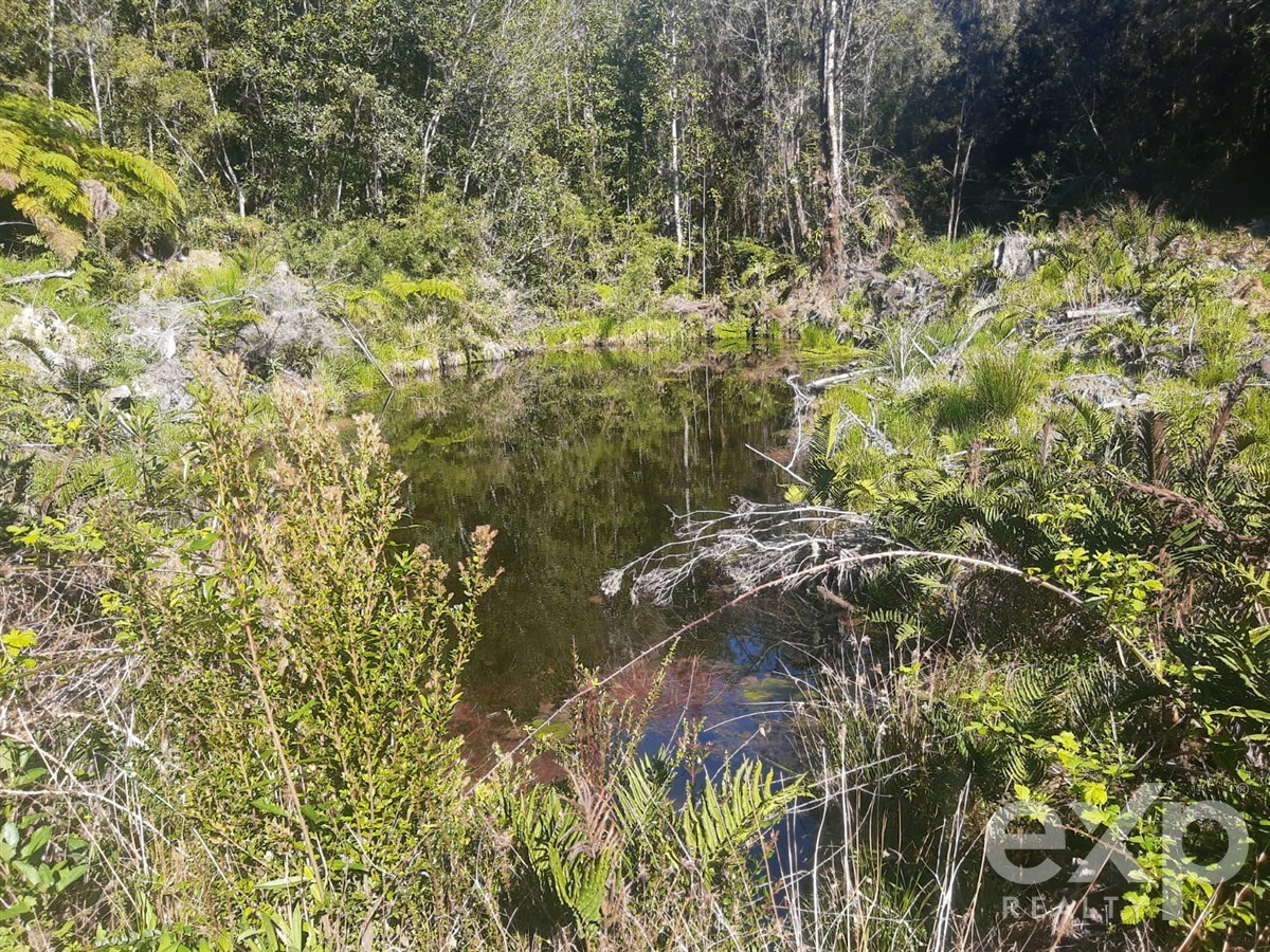 Site for sale in Chonchi