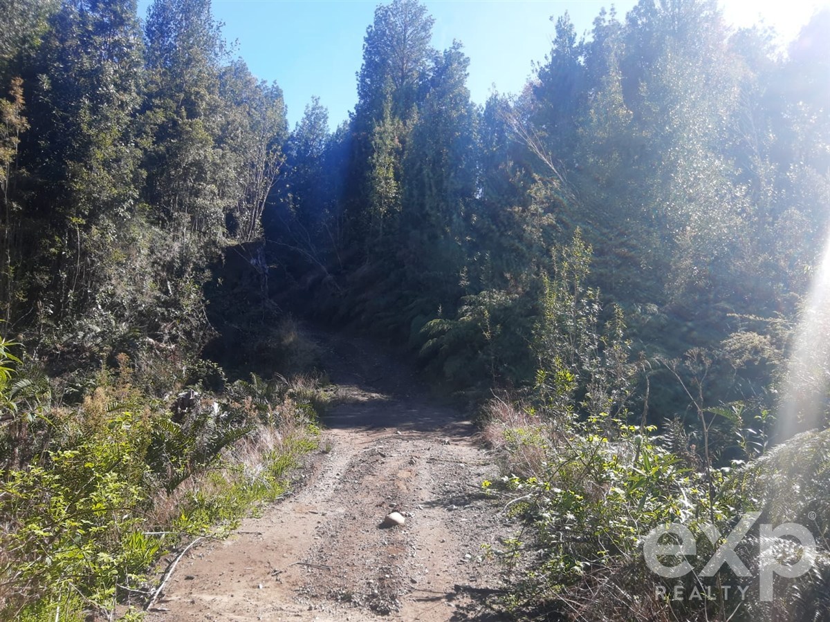 Site for sale in Chonchi