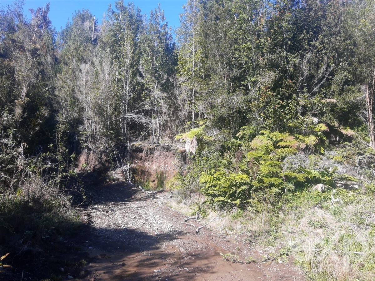 Site for sale in Chonchi