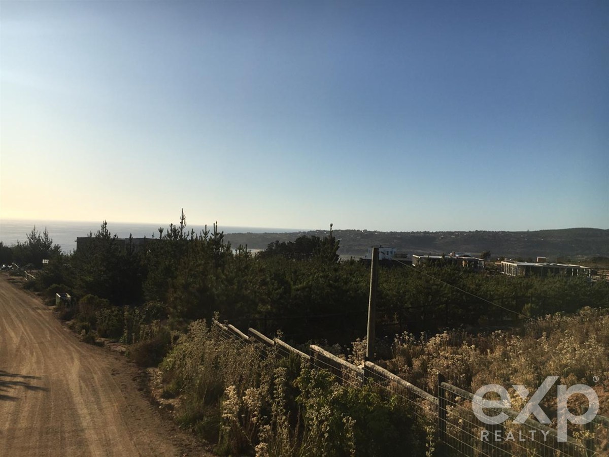 Sitio en venta en Algarrobo