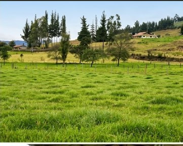 LOTE en venta en Pesca, Suanoga, 50 m²