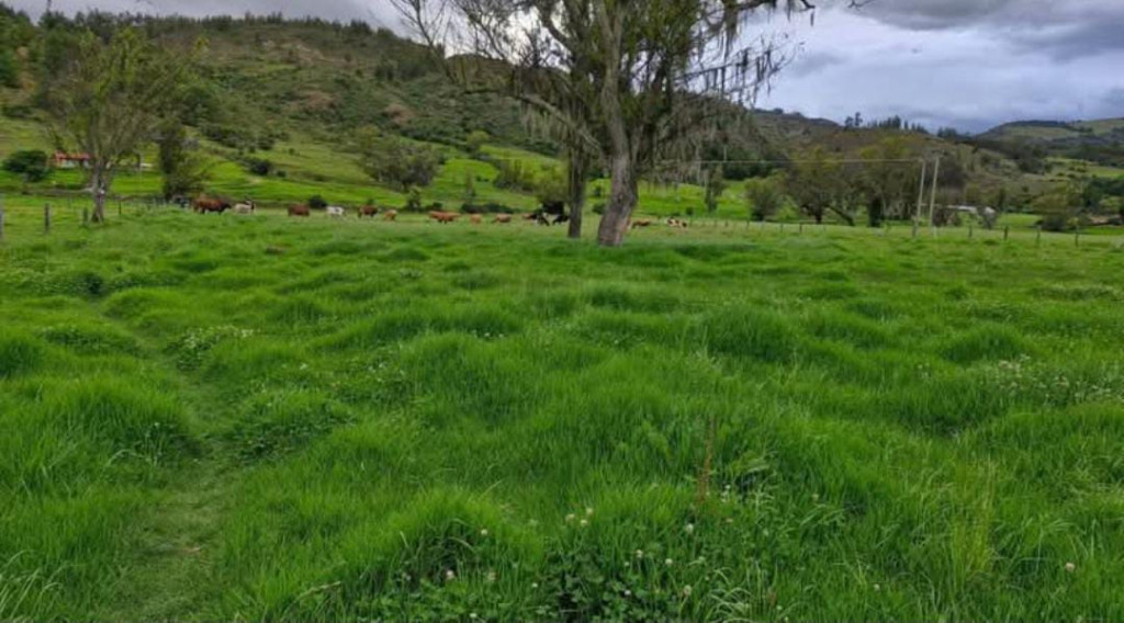 LOTE en venta en Pesca, Suanoga, 50 m²