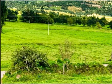 LOTE en venta en Pesca, Suanoga, 50 m²