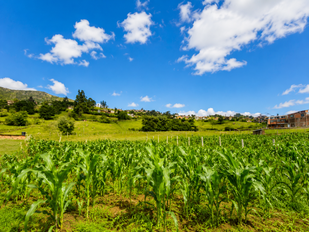 LOTE en venta en Monguí, MUNICIPIO MONGUI VEREDA CENTRO