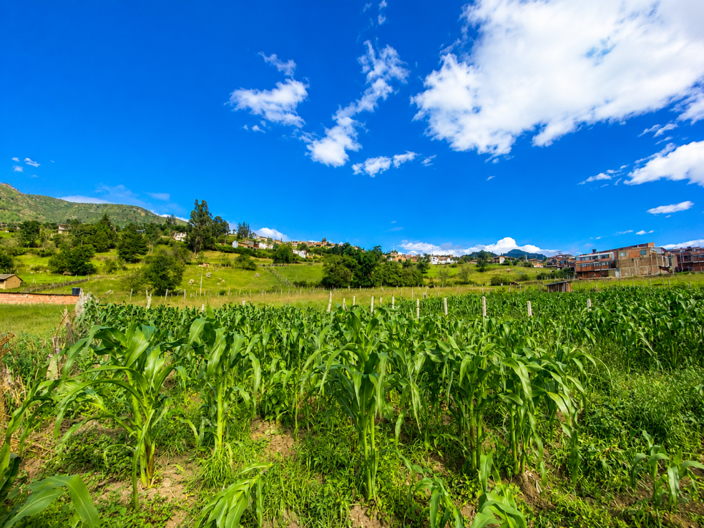 LOTE en venta en Monguí, MUNICIPIO MONGUI VEREDA CENTRO