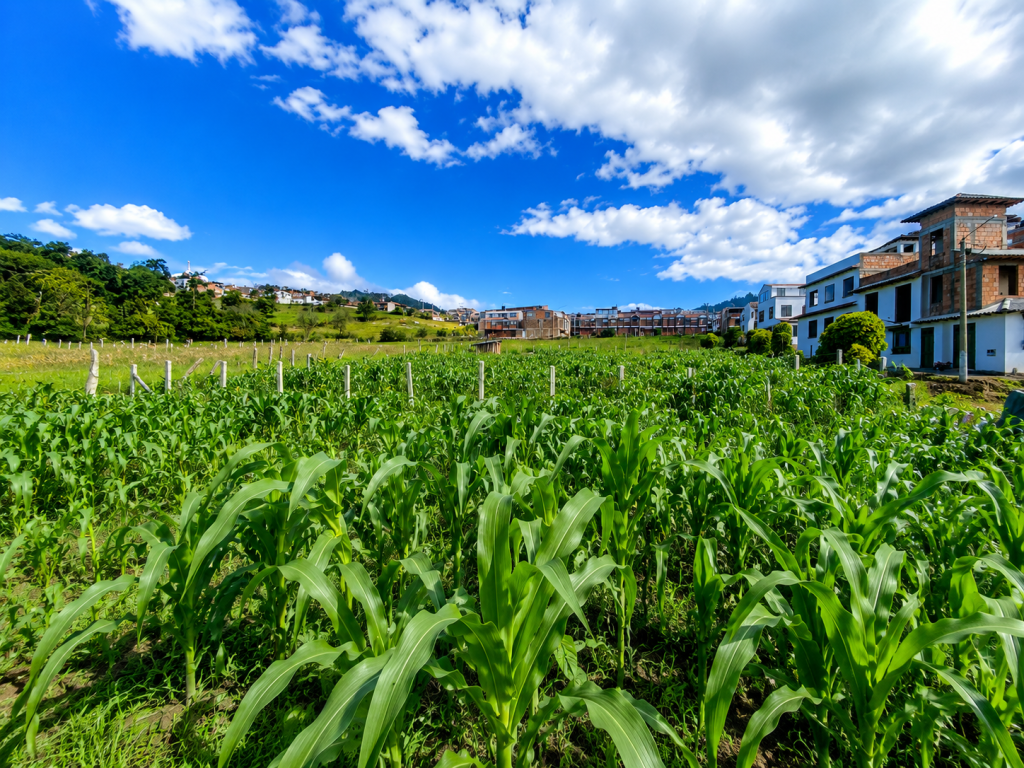 LOTE en venta en Monguí, MUNICIPIO MONGUI VEREDA CENTRO
