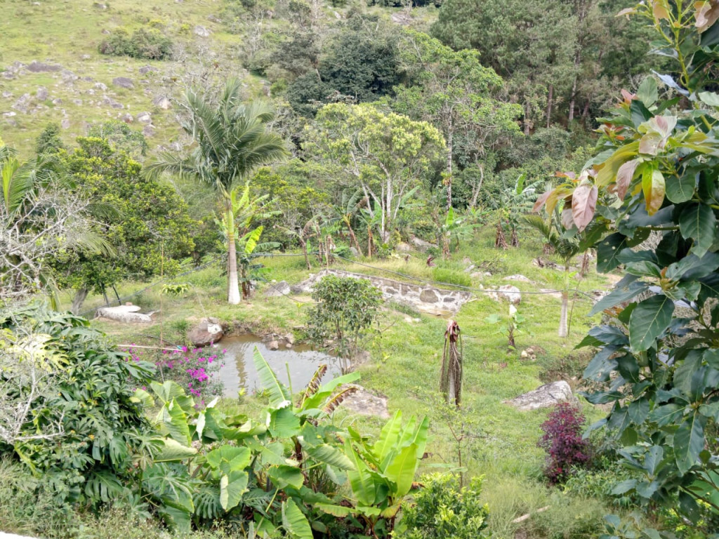 FINCA en Sasaima