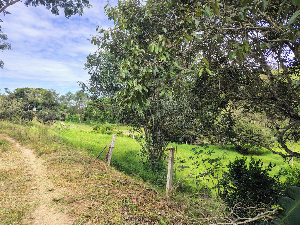 LOTE en Arbeláez