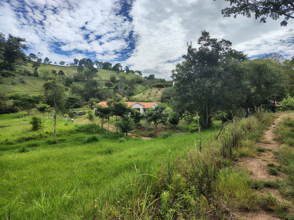 LOTE en Arbeláez