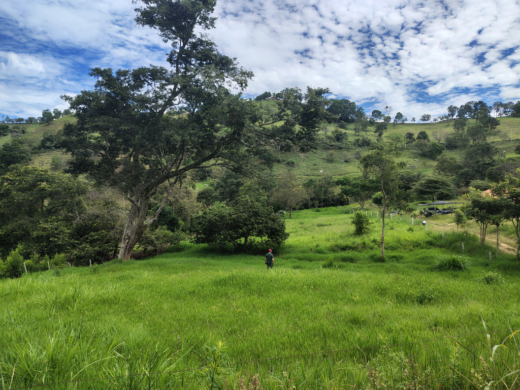 LOTE en Arbeláez
