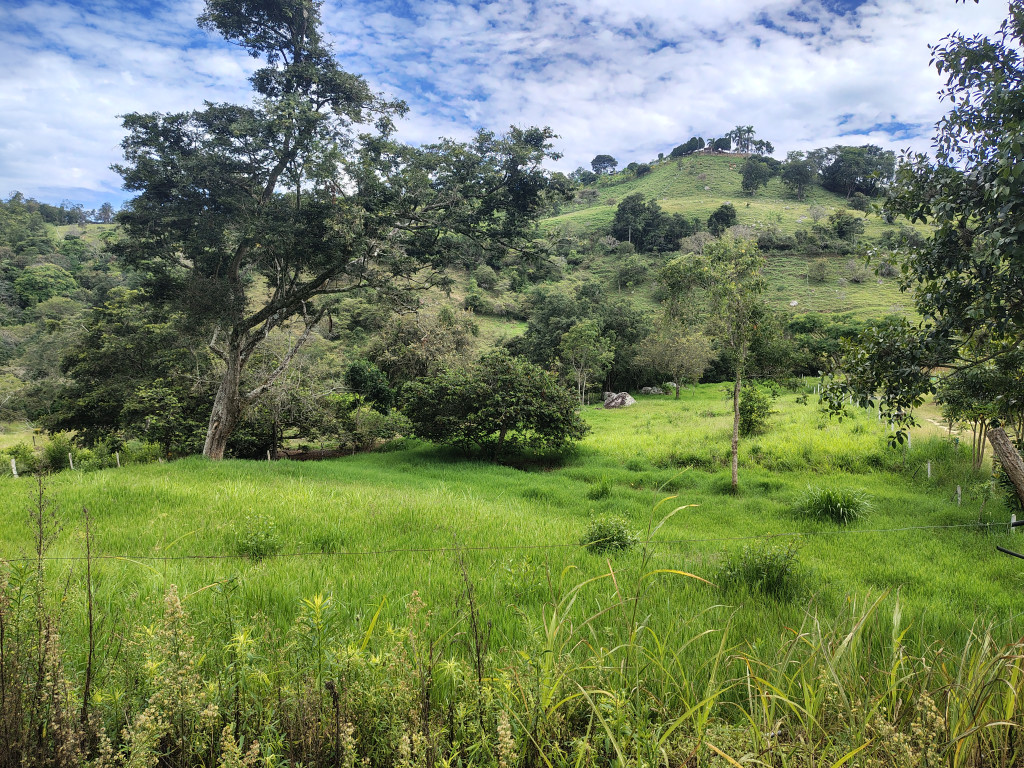 LOTE en Arbeláez