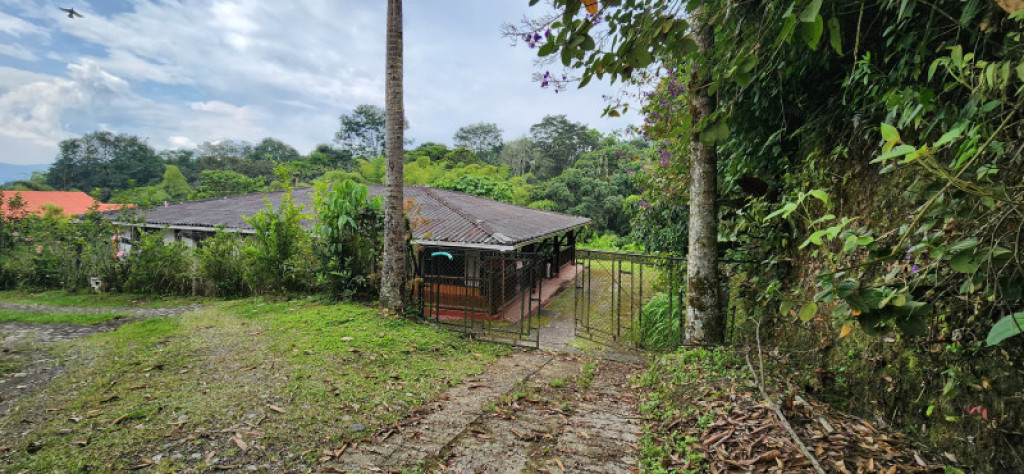 FINCA en Pereira