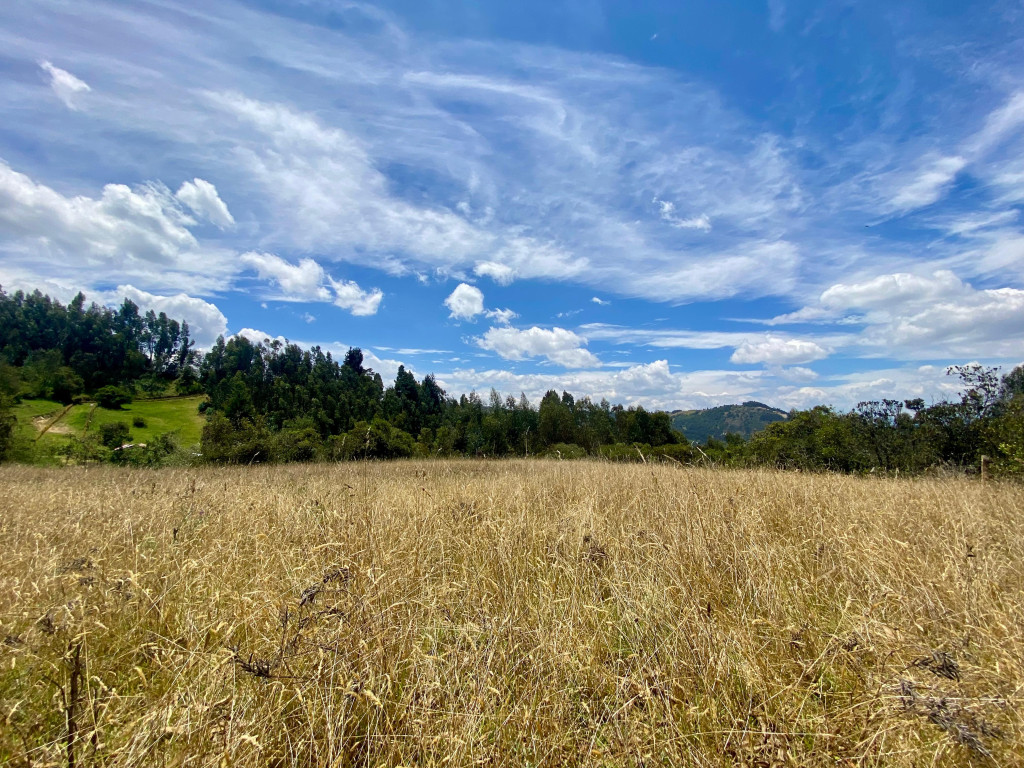 LOTE en venta en Monguí, Vereda Vallado El Prado Monguí
