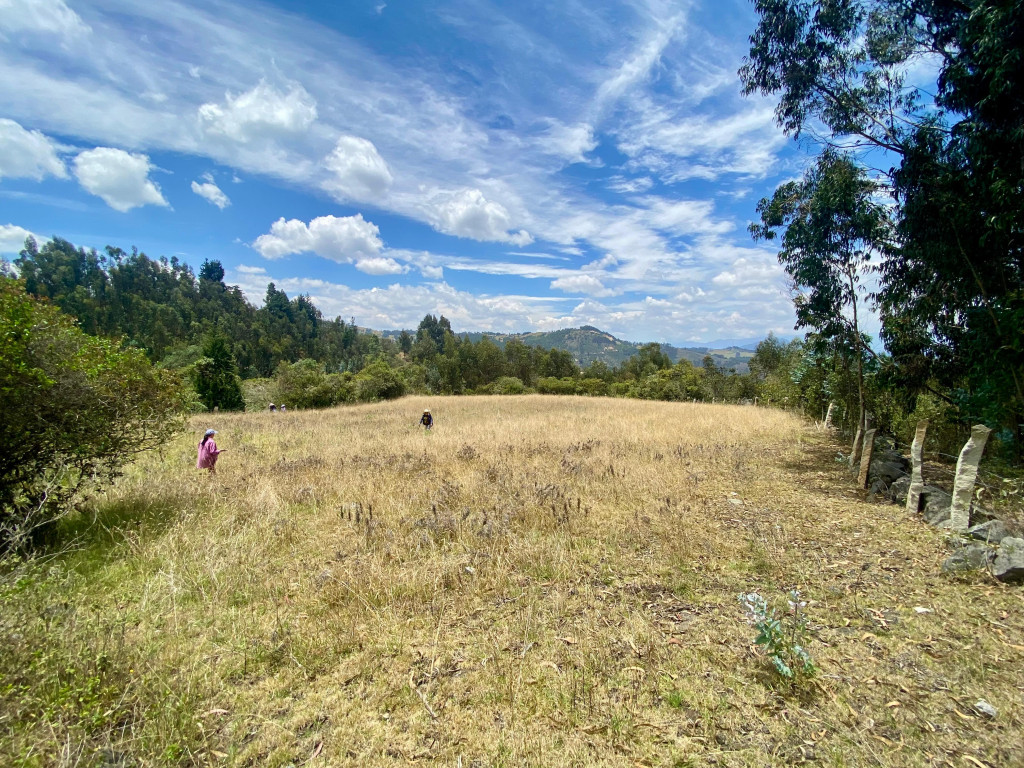 LOTE en venta en Monguí, Vereda Vallado El Prado Monguí