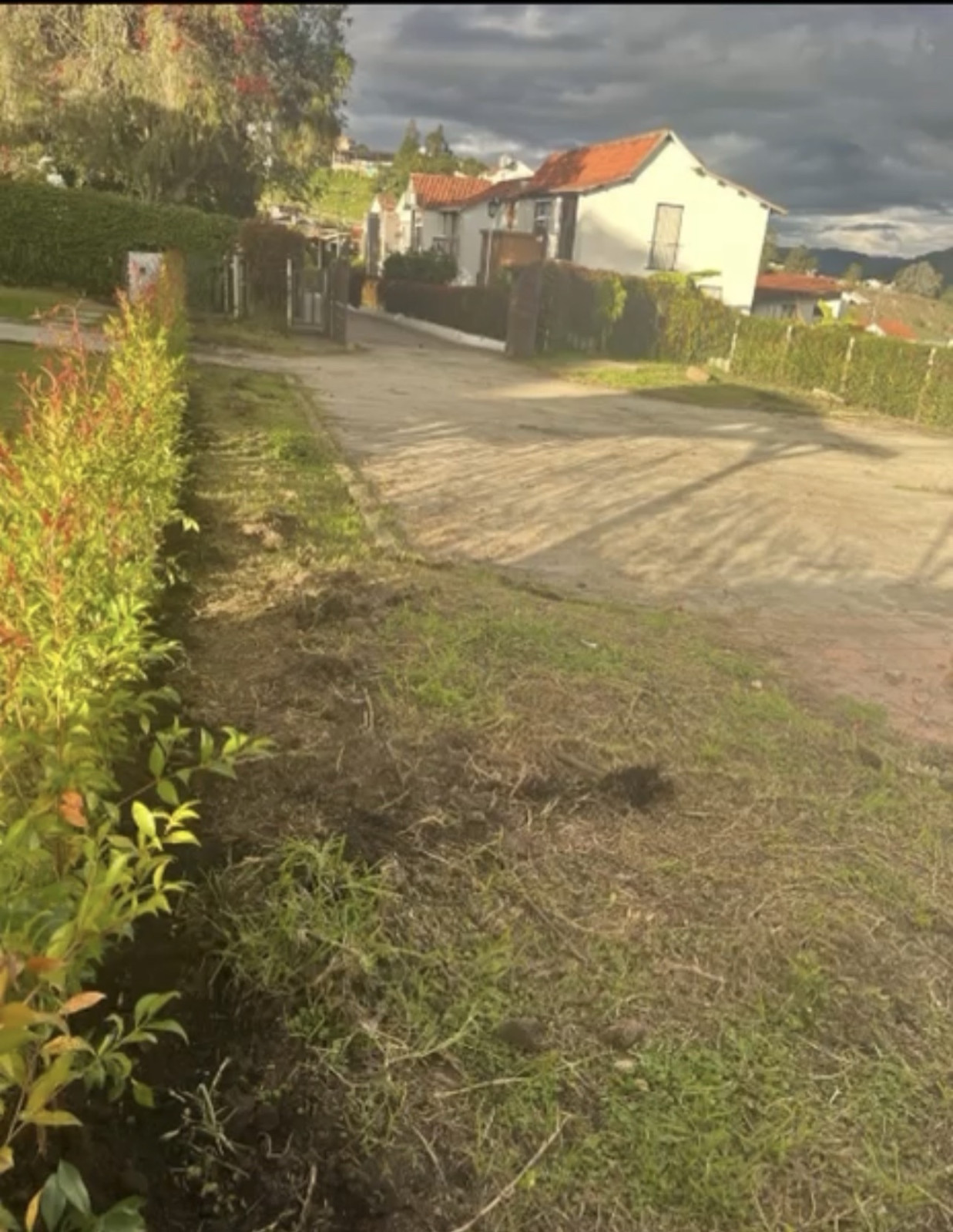 LOTE en Machetá