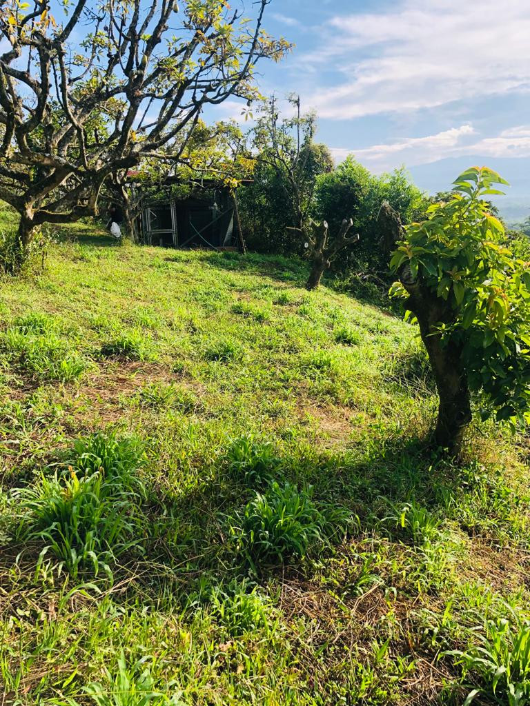 FINCA en Montenegro