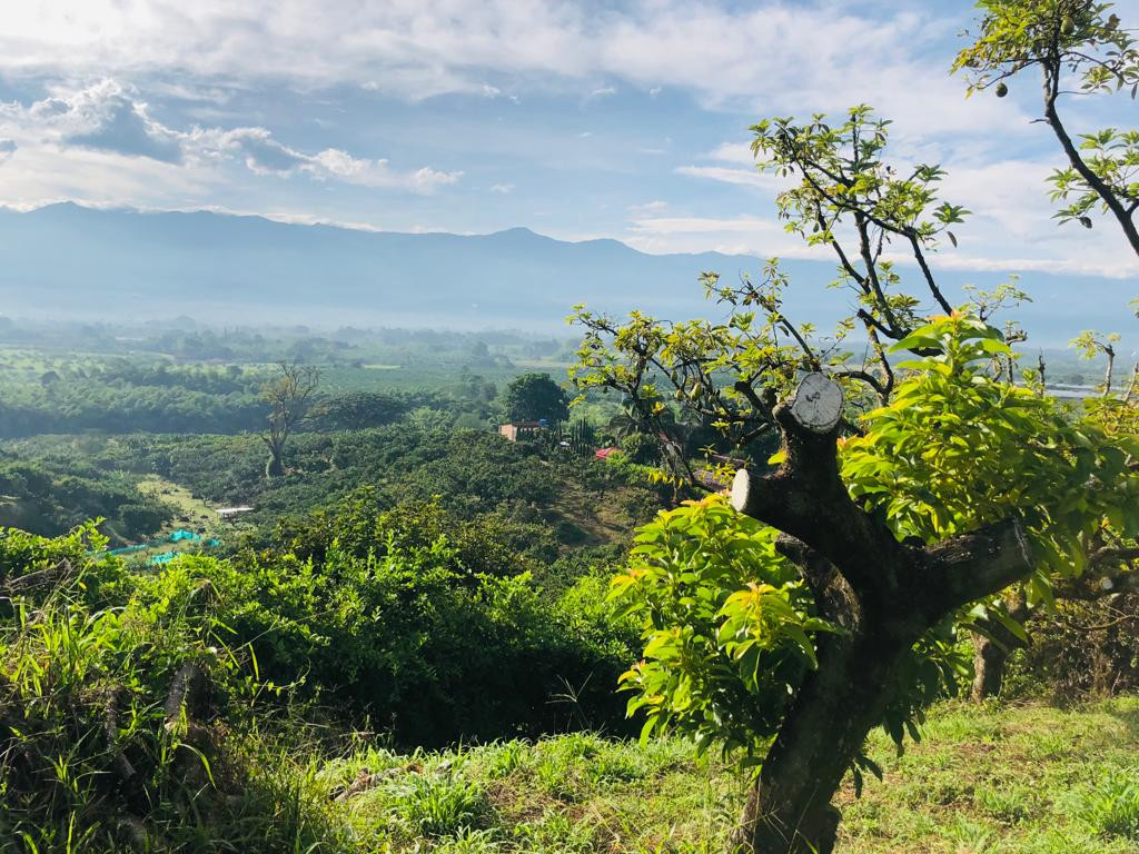 FINCA en Montenegro