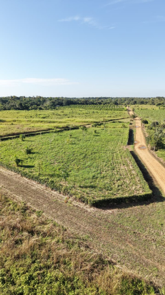 LOTE en venta en San Carlos De Guaroa, Vereda La Raya