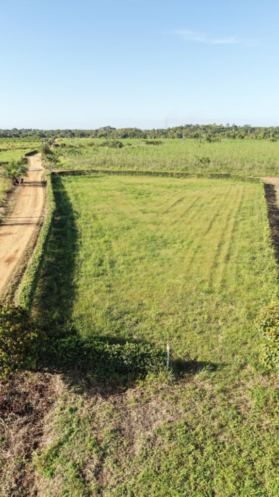 LOTE en venta en San Carlos De Guaroa, Vereda La Raya