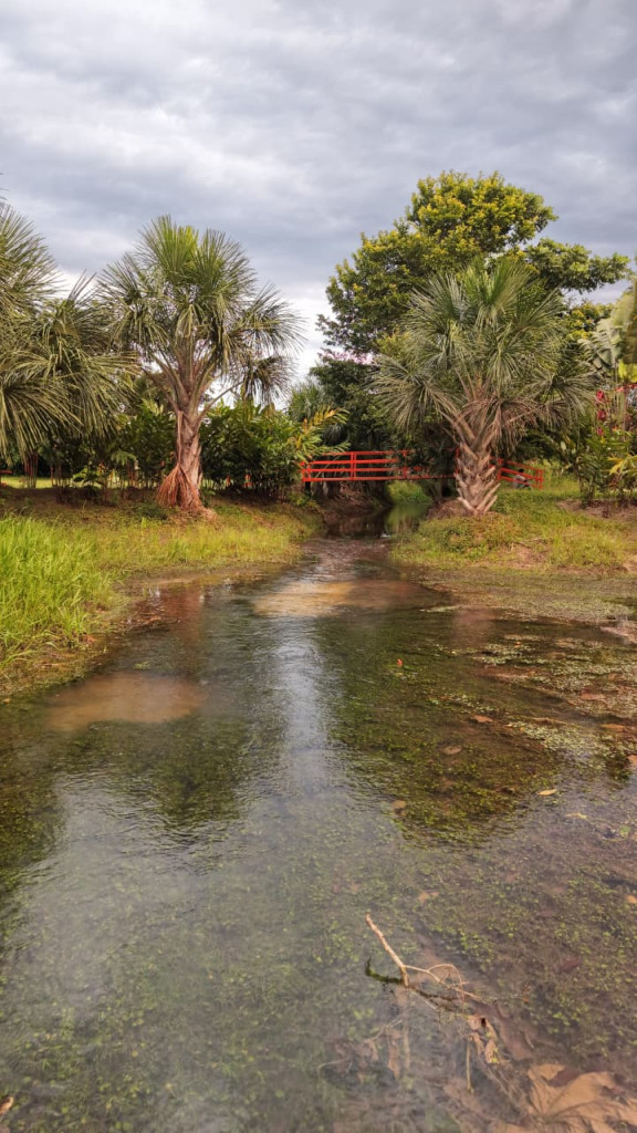LOTE en venta en San Carlos De Guaroa, Vereda La Raya
