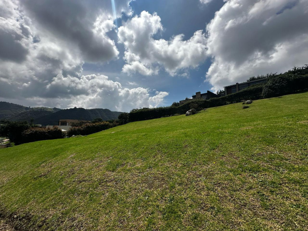 LOTE en Bogotá