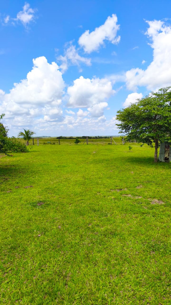 FINCA en venta en San Martin, Vereda Siberia, 1500 m²