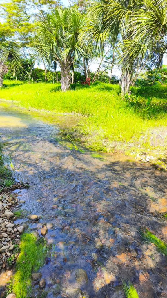 LOTE en venta en San Carlos De Guaroa, Vereda La Raya