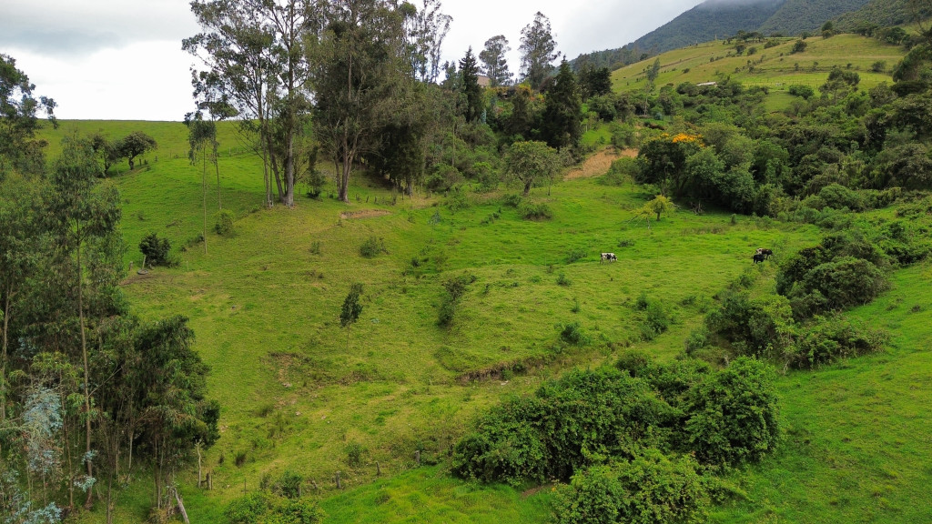 LOTE en venta en La Calera, Lote el Cerezo, Vereda San José el Triunfo
