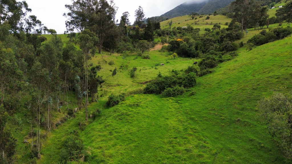 LOTE en venta en La Calera, Lote el Cerezo, Vereda San José el Triunfo