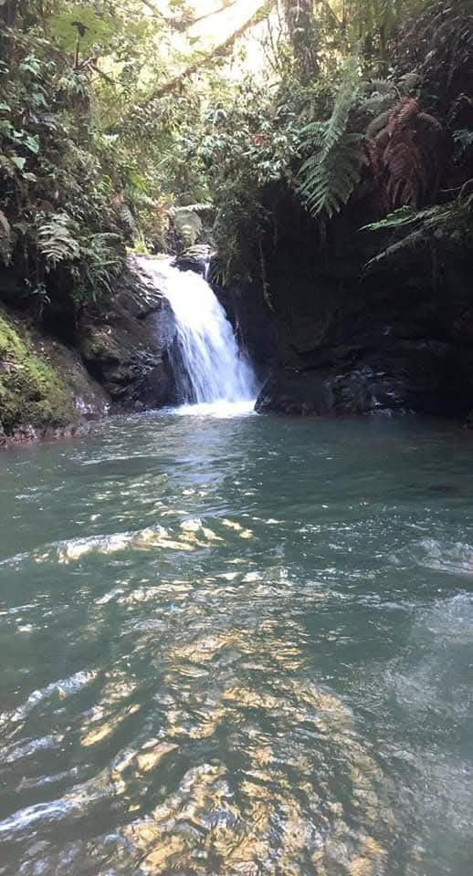 Estate for sale in Concepción, Valle de los Silfos Vereda las Frias Concepcion Antioquia Colombia, 346 m²