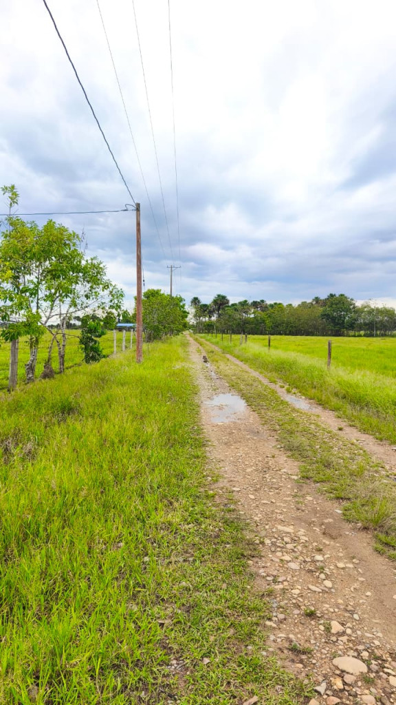 FINCA en venta en San Martin, Vereda Gualas