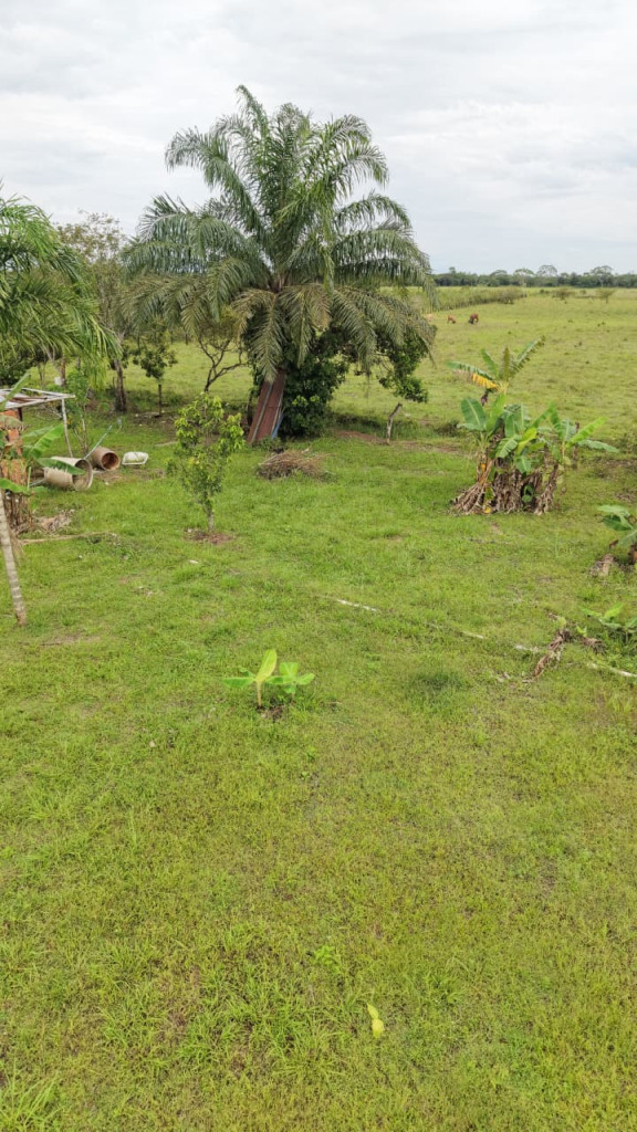 FINCA en venta en San Martin, Vereda Gualas