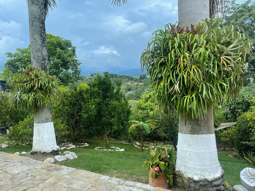 FINCA en venta en Silvania, SILVANIA