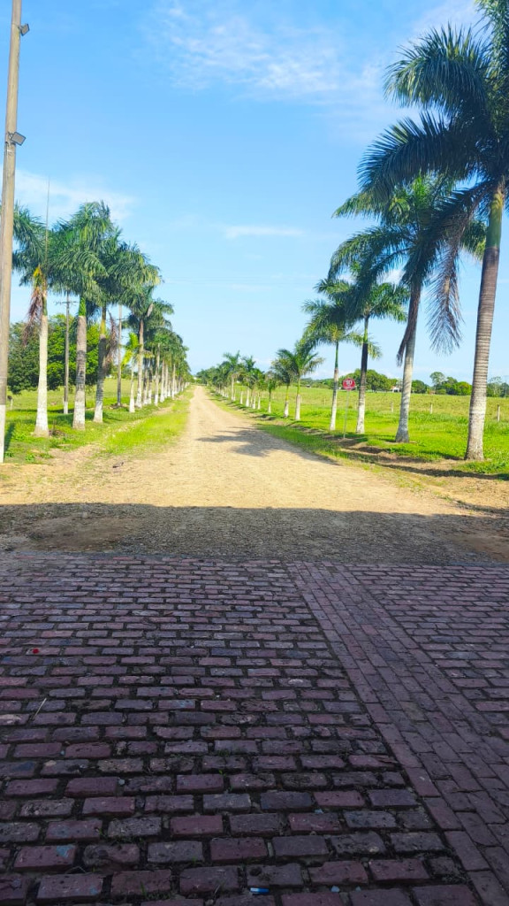 LOTE en venta en Puerto López, Vereda Yacuana