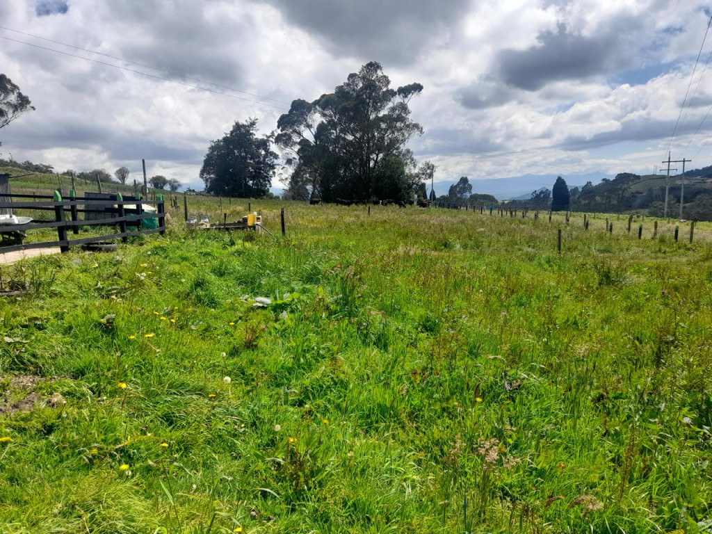 FINCA en venta en Tabio, Casa Campestre Vereda Llano Grande Tabio Cundinamarca, 110 m²