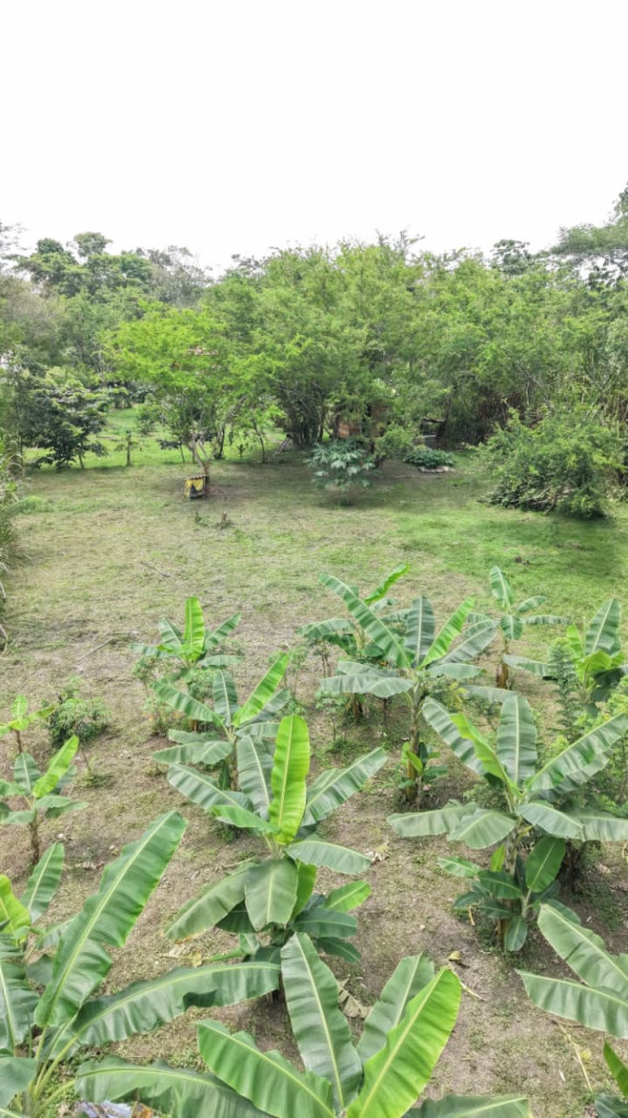 CASA CAMPESTRE en venta en Guamal, VEREDA SAN MIGUEL, 300 m²