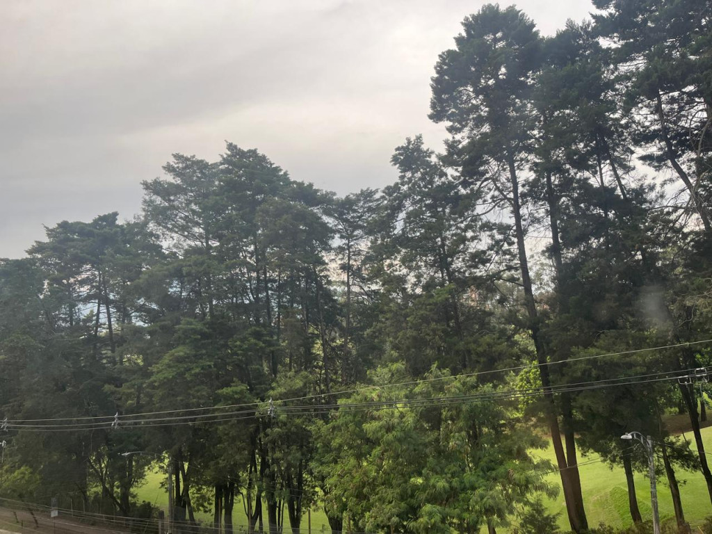 APARTAMENTO en alquiler en Medellín, calle 16 A sur, 165 m²
