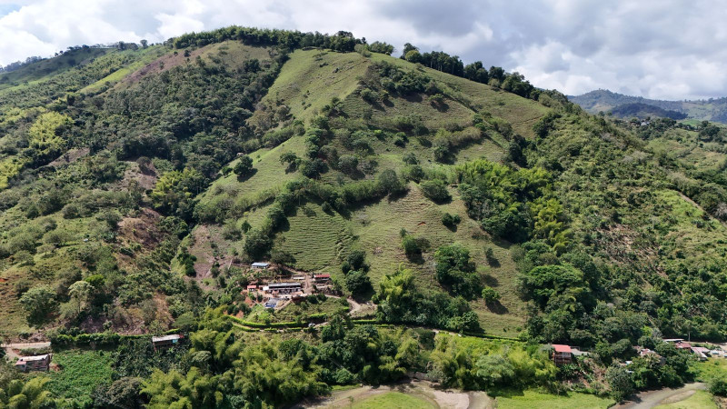 FINCA en venta en Balboa, Balboa, vereda totuy finca sierra verde, 200 m²