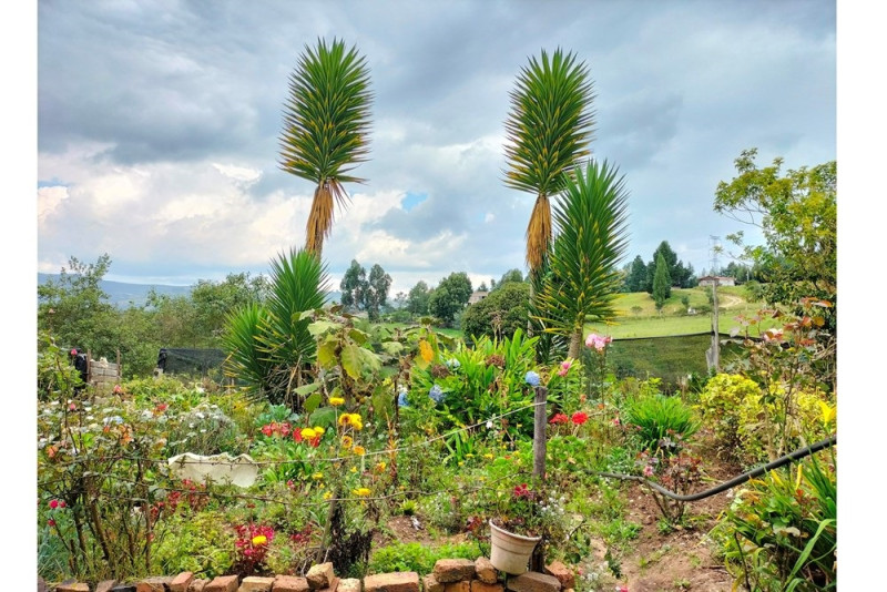 FINCA en venta en Paipa, Paipa, 100 m²