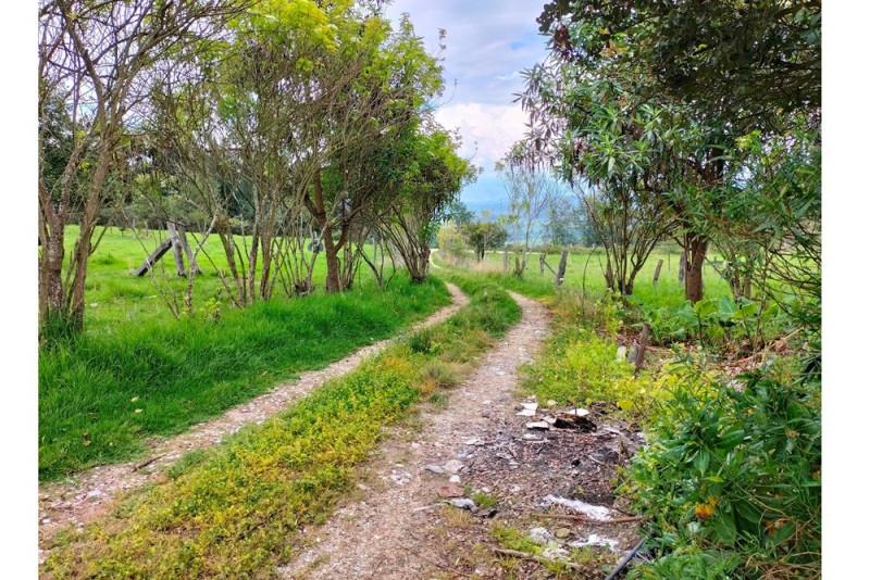 FINCA en venta en Paipa, Paipa, 100 m²